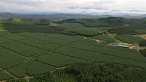 Dự án liên hợp nông nghiệp công nghệ cao Phước An ở huyện Krông Pắc, tỉnh Đắk Lắk.