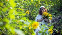 Tháng 10 vàng tưoi trên những cánh hoa Dã Quỳ