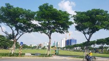 Khu đất A20 đường Võ Văn Kiệt liên quan đến việc Vipico kiện UBND TP Đà Nẵng.