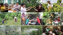 Vốn vay chính sách đã giúp cho nhiều hộ có nước sạch để dùng, có cả rừng keo thoát nghèo bền vững
