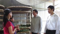 Chủ động tìm hướng tăng hiệu quả vốn chính sách