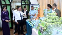 Đại biểu tham quan các sản phẩm của DN Việt Nam giới thiệu tại Hội thảo