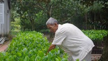 Ông Mẫn bên vườn giống sắp đưa ra thị trường phục vụ nhà vườn