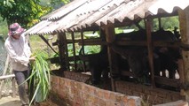 Vốn chính sách vun mầm no ấm ở Minh Long