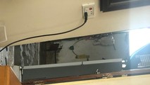 An Lão, Hải Phòng: Nhiều bất cập trong chế độ tiền lương của nhân viên bảo vệ trường học