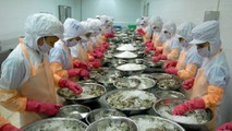 Năm 2019, mục tiêu XK tôm Việt Nam là trên 4 tỷ USD