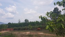 “Siêu dự án” thực chất chỉ là bãi đất xác xơ