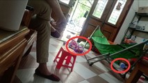 Trong phòng khách vẫn ngổn ngang những vỏ hộp chưa được đóng gói