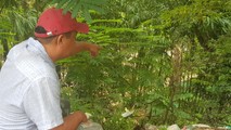 Người dân “tố” nhà máy Thảo Tín Vũ gây ô nhiễm môi trường