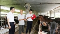 Dấu ấn Agribank trong thành tựu 10 năm xây dựng nông thôn mới