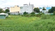 Hiện tại Đức Long Western Park vẫn chỉ là bãi cỏ hoang
