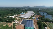Trại gà Hòa Phát Phú Thọ nằm trên ba ngọn đồi cao nhất khu vực