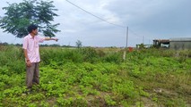 Phần đất đã được địa phương chia lô, bán đấu giá
