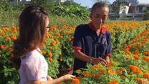 Ông Nguyễn Thanh Lâm - hộ vay vốn chính sách ở phường Hoà Xuân (TP Đà Nẵng) phát triển nghề trồng hoa. Ảnh: Q.Cảnh, N.Tú