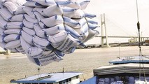 Thủ tướng Chính phủ sẽ có quyết định cuối cùng về việc tạm dừng hay tiếp tục xuất khẩu gạo.