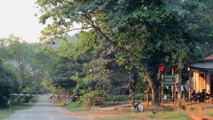 Vụ “lâm tặc” Quảng Bình tàn sát rừng gỗ quý: Kiểm lâm “có cũng như không” trên con đường gỗ lậu về xuôi