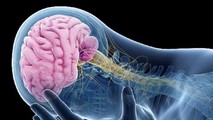 Tại sao Nattospes là lựa chọn hàng đầu giúp phòng ngừa đột quỵ?