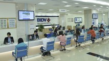 BIDV dành 01 tỷ đồng hỗ trợ đồng bào bị ảnh hưởng bởi lũ lụt tại Quảng Bình, Quảng Trị