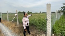 Bà Ngô Thị Tuyết đang đứng trước mảnh đất nông nghiệp phân lô, hiện tại đã được chủ đất mới rào lại.