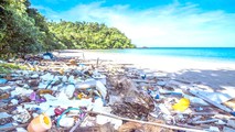 Đảo Koh Phi Phi (Thái Lan) bị đóng cửa bởi ô nhiễm nặng.