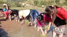 Tưng bừng Lễ hội Lồng Tồng đầu xuân