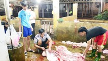 Đoàn kiểm tra liên ngành trực tiếp lò mổ lợn tập trung lấy mẫu thử test nhanh (ảnh Báo Nghệ An)