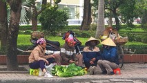 Những người phụ nữ co ro giữa "chợ người" tranh thủ nhặt rau trong lúc đợi người đến thuê đi làm việc những ngày cận Tết.