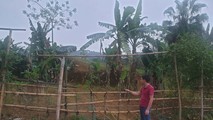 Ông Hoàng Đức Tâm (trú tại khu 5, xã Tân Phú, huyện Tân Sơn-người trúng đấu giá) chỉ khu đất của gia đình ông đã được UBND huyện Tân Sơn cấp sổ đỏ, nhưng đến nay vẫn chưa nhận được đất.