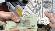 VND có thể sẽ mất giá 1,2% so với USD trong cả năm 2020