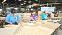 Nếu dịch bệnh tiếp tục có diễn biến phức tạp đến cuối tháng 5 thì chỉ riêng 2 thị trường là Hoa Kỳ và Châu Âu, giá trị kim ngạch XK gỗ và lâm sản của nước ta sẽ giảm khoảng 700-800 triệu USD.