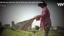 Hình ảnh trong phóng sự "Cây chổi quét rau" phát trên VTV3.