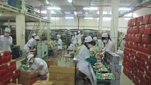 Tết này công nhân Nhà máy bánh kẹo Tràng An 3 được thưởng thế nào?