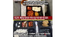 'Xin lỗi Việt Nam' khắp mạng xã hội toàn cầu sau lời chê bai của du khách Hàn Quốc