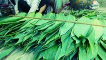 Lá rụng bờ rào bỏ đi ở Việt Nam, sang nước ngoài bán đắt đỏ