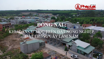 Đồng Nai: Khu dân cư khổng lồ mọc trên đất nông nghiệp tại Đồng Nai