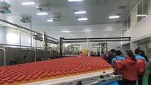 Dây chuyền sản xuất hiện đại của Công ty Long Hải