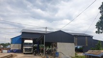 Một phần trong khuôn viên nhà xưởng chế biến gỗ của ông Đạt.