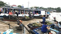 Chợ nổi Cái Răng mỗi năm một thưa thớt