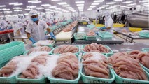 Cơ hội lớn thúc đẩy xuất khẩu nông, lâm, thủy sản nhờ các FTA là điều có thể thấy ngay