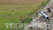 Hạn hán diễn ra phức tạp tại Đồng bằng sông Cửu Long.