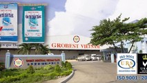 Cty TNHH Grobest Industrial (Việt Nam) là DN chuyên cung cấp thức ăn thủy sản.