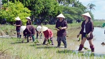 Bỏ ngỏ thế mạnh du lịch hướng về nông thôn?
