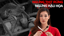 Khánh Vân _ Hoa Hậu hoàn Vũ Việt Nam 2019.