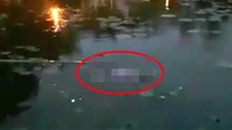 Thi thể nữ sinh nổi giữa hồ nước Học viện Nông nghiệp Việt Nam