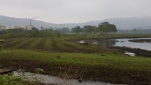Chủ tịch UBND huyện kiến nghị thu hồi 13 lô đất mà ông Hồ Hữu Phúc đã chiếm đoạt