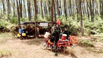 Thành lập các chốt chặn, tuần tra canh gác ở khu vực rừng có nguy cơ cháy cao.