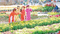 Nhà vườn miền Tây lo sức mua hoa tết Tân Sửu giảm so với những năm trước