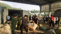 Các lực lượng chức năng phối hợp bắt và kiểm đếm 10 tấn ngà voi, vẩy tê tê nhập lậu