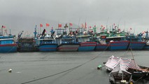 Tàu thuyền các tỉnh miền trung về neo đậu trú tránh bão ở âu thuyền Thọ Quang Đà Nẵng