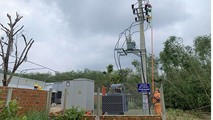 TBA 1000kWp cho Công ty THiên Nam Graden